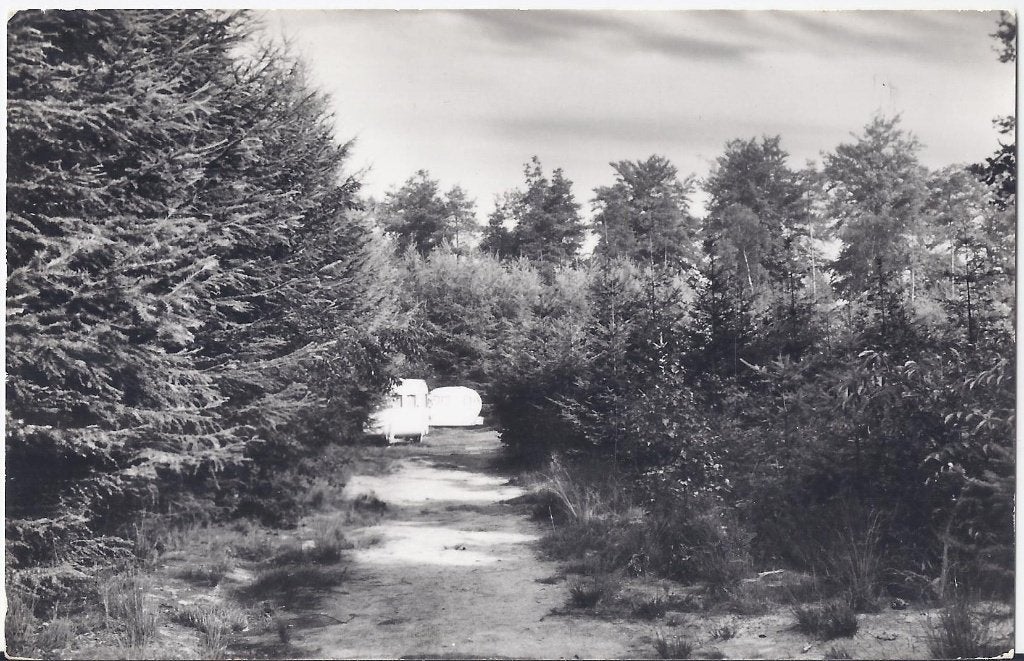 Lochem Ruighenrode oude gelopen ansichtkaart - B1071, Ophalen of Verzenden, 1980 tot heden, Gelopen, Noord-Brabant