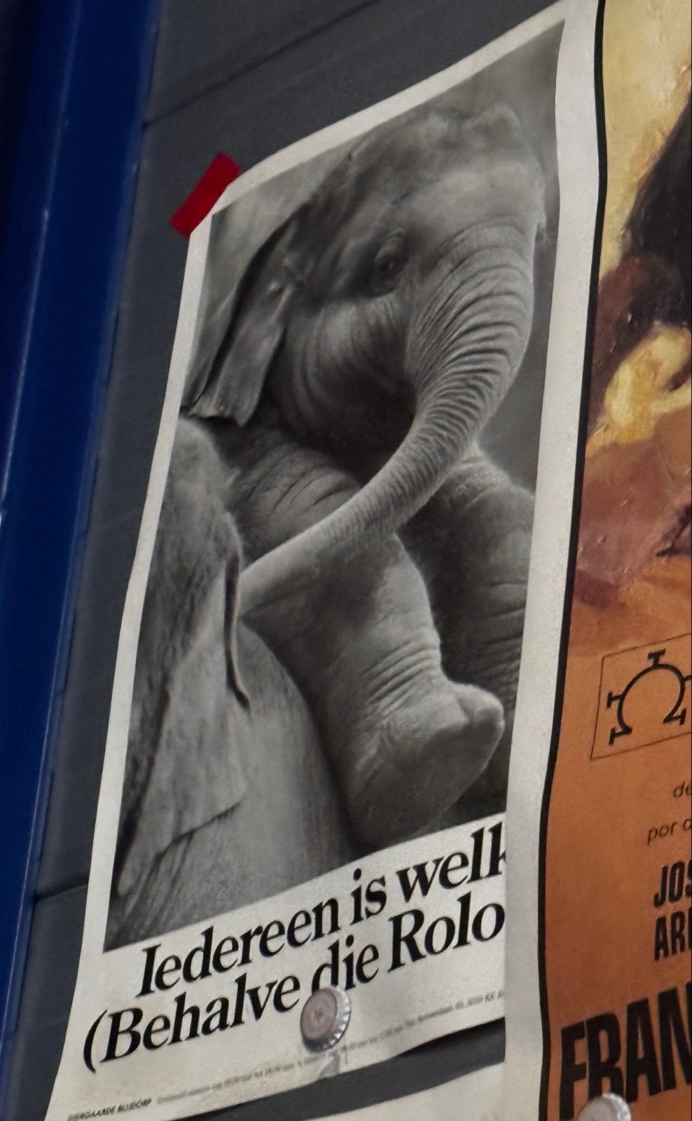 Olifant Poster - 'Iedereen is welkom' van Blijdorp, Ophalen, A1 t/m A3, Dier of Natuur, Rechthoekig Staand