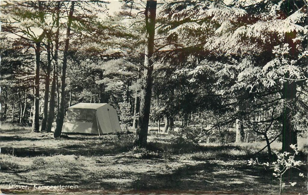 379-174-039 Diever Kampeerterrein, Ophalen of Verzenden, Voor 1920, Drenthe