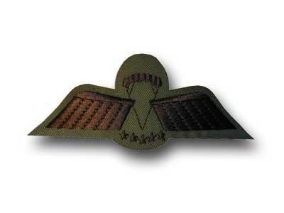 KCT Parawing D GVT (vrije val, HAHO/HALO), Verzenden, Landmacht, Nederland, Kleding of Schoenen