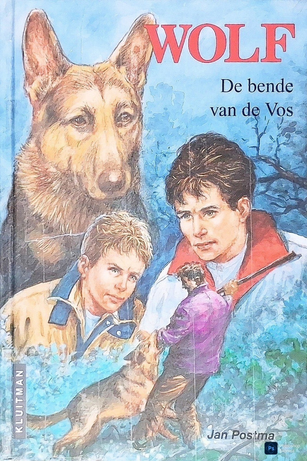 Wolf De Bende Van De Vos, Boeken, Gelezen, Jan Postma., Ophalen of Verzenden, Fictie