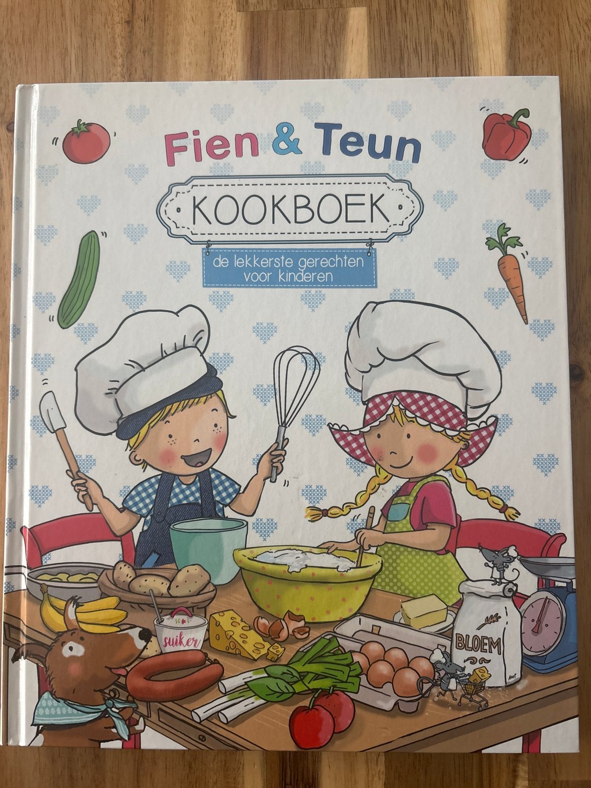 Fien & Teun Kookboek: De Lekkerste Gerechten voor Kinderen, Ophalen of Verzenden, Zo goed als nieuw, Overige gebieden, Hoofdgerechten