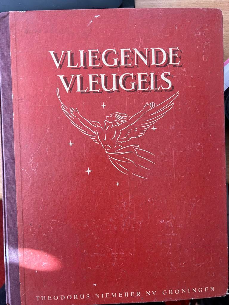 Vliegende Vleugels - Theodorus Niemeijer N.V. Groningen, Ophalen of Verzenden, Gelezen, Vliegtuig