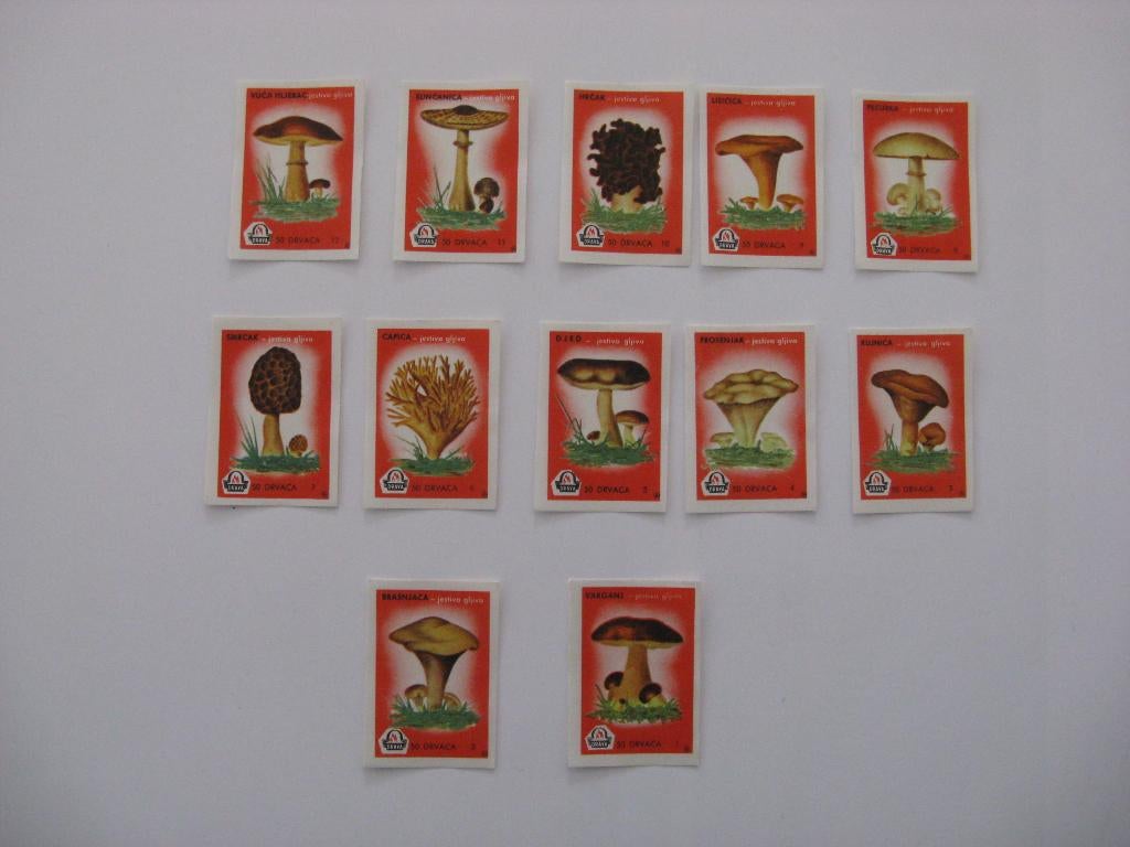 Lucifers merken van Rusland Paddenstoelen Serie 1-10, Verzamelen, Rookartikelen, Aanstekers en Luciferdoosjes, Verzenden, Zo goed als nieuw
