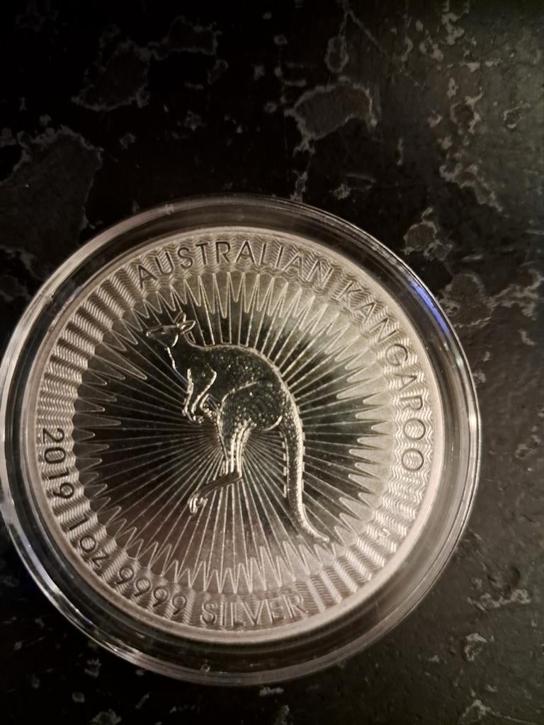 Australian Kangaroo 2019 munt meer in de beschrijving, Verzenden, Zilver