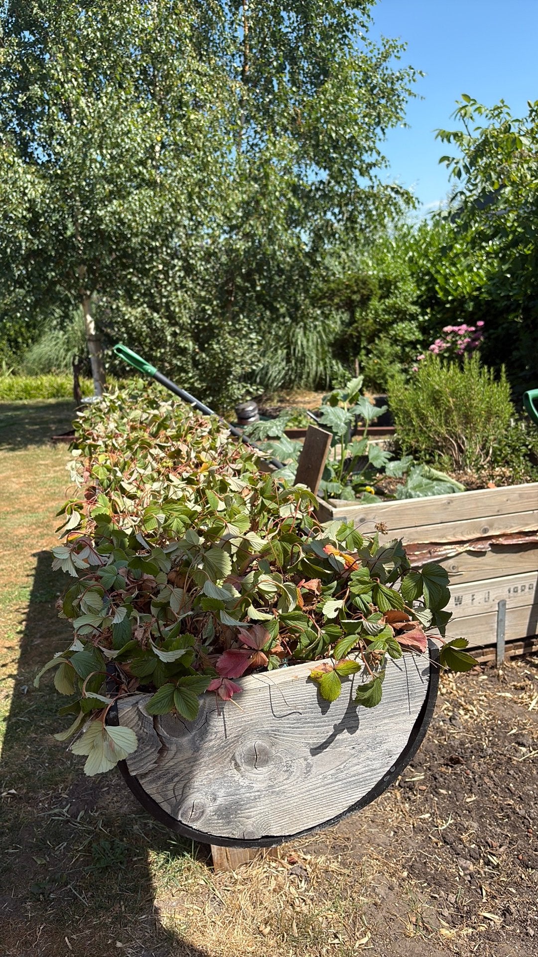 Tuin/ plantenbakken halve buizen 2x voor aardbeien 3 meter, Ophalen, Volle zon