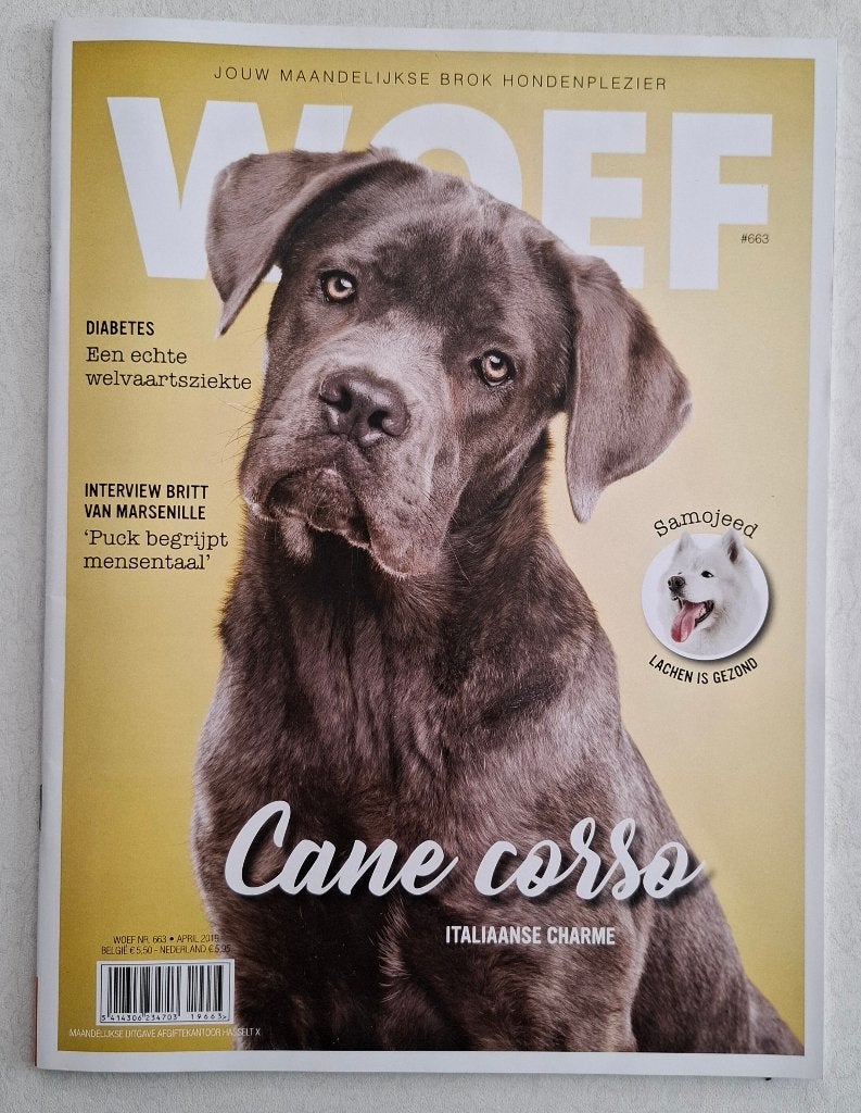 WOEF magazine #663 - Cane Corso - Nieuwstaat, Ophalen of Verzenden, Nieuw, Honden