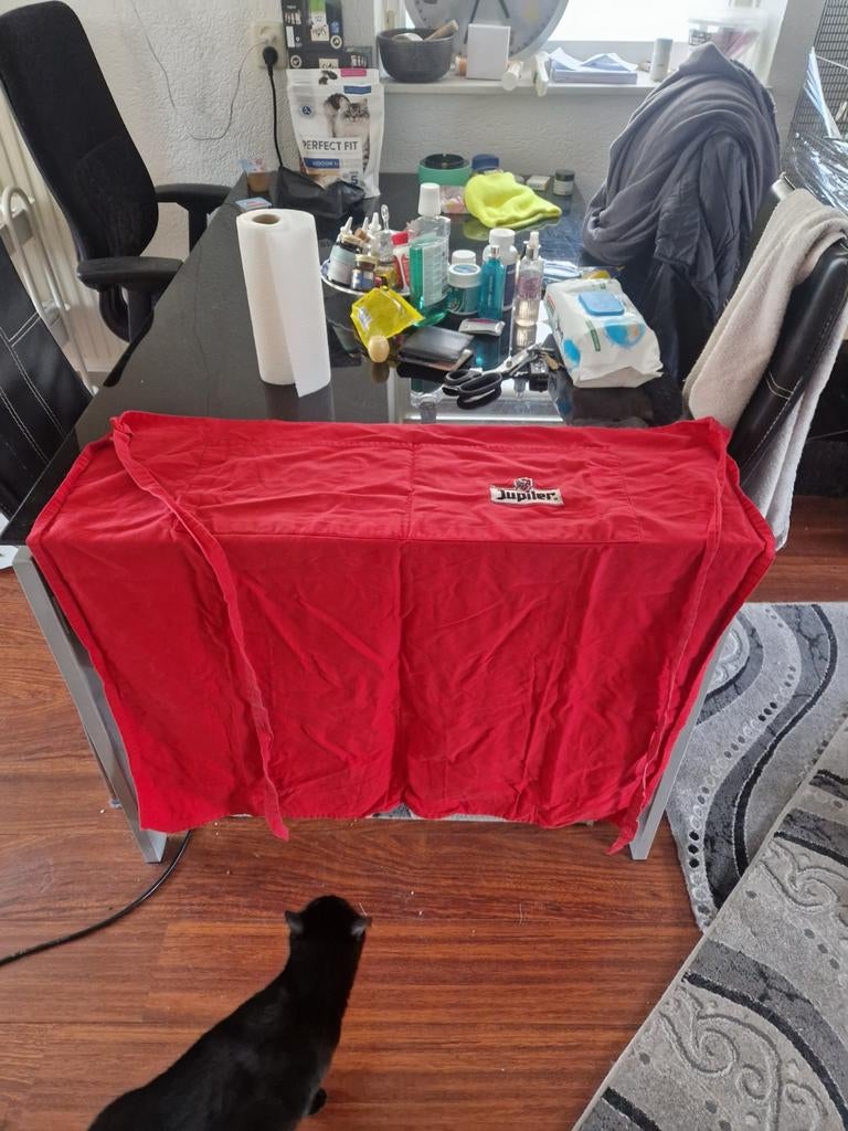 Bar schort of keuken, Ophalen of Verzenden, Zo goed als nieuw, Schort