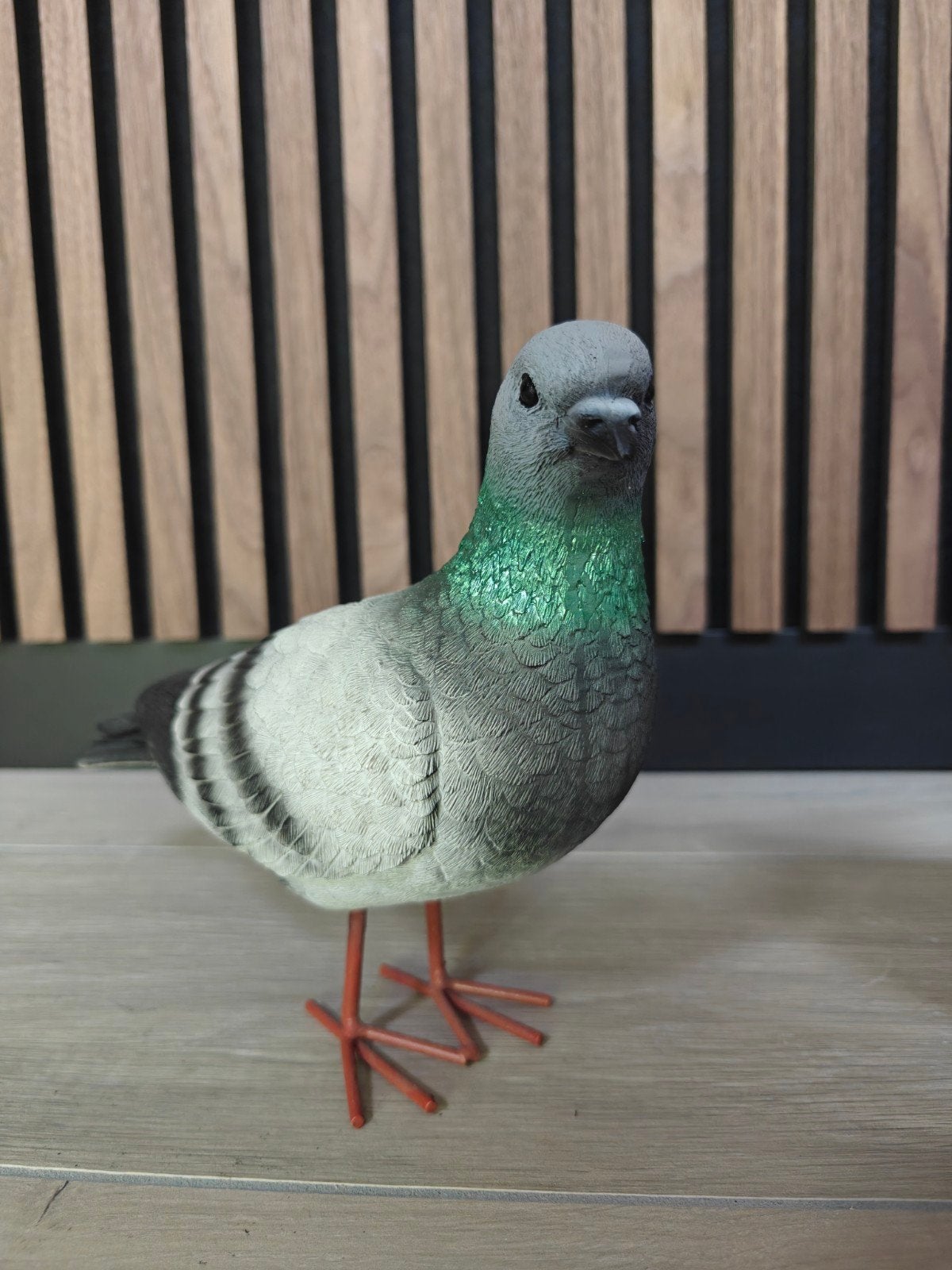 Duif, vogels, vogel, duif rechts kijkend, Verzamelen, Ophalen of Verzenden, Nieuw, Dier