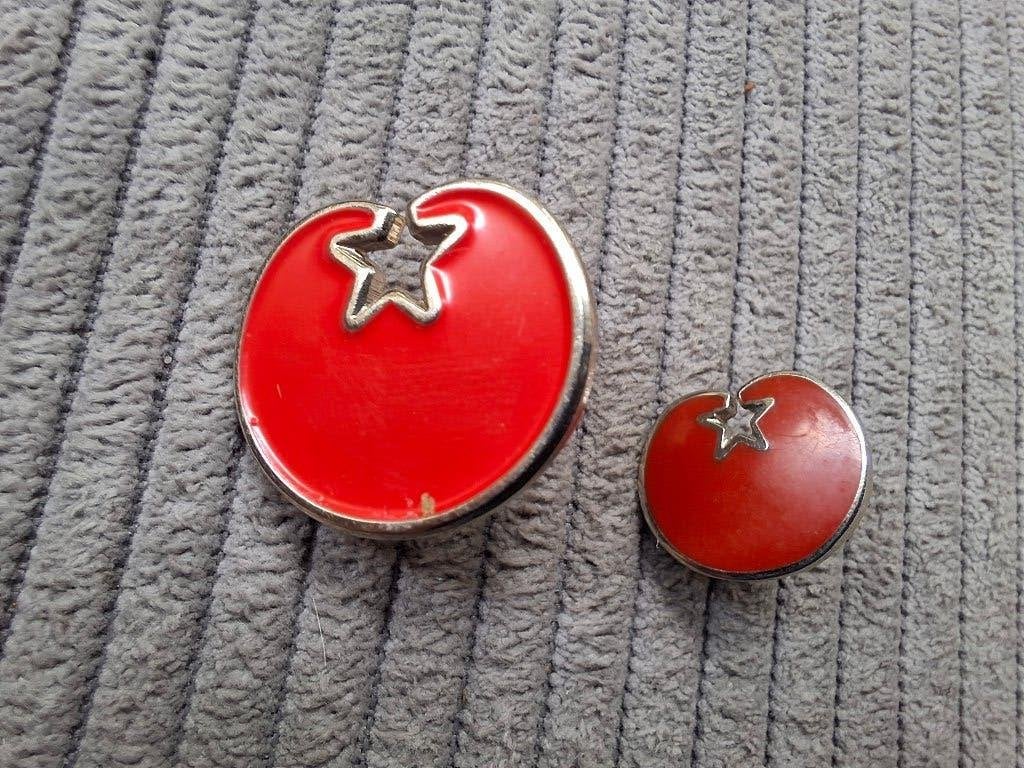 Twee pins Socialistische Partij, Ophalen of Verzenden, Overige onderwerpen