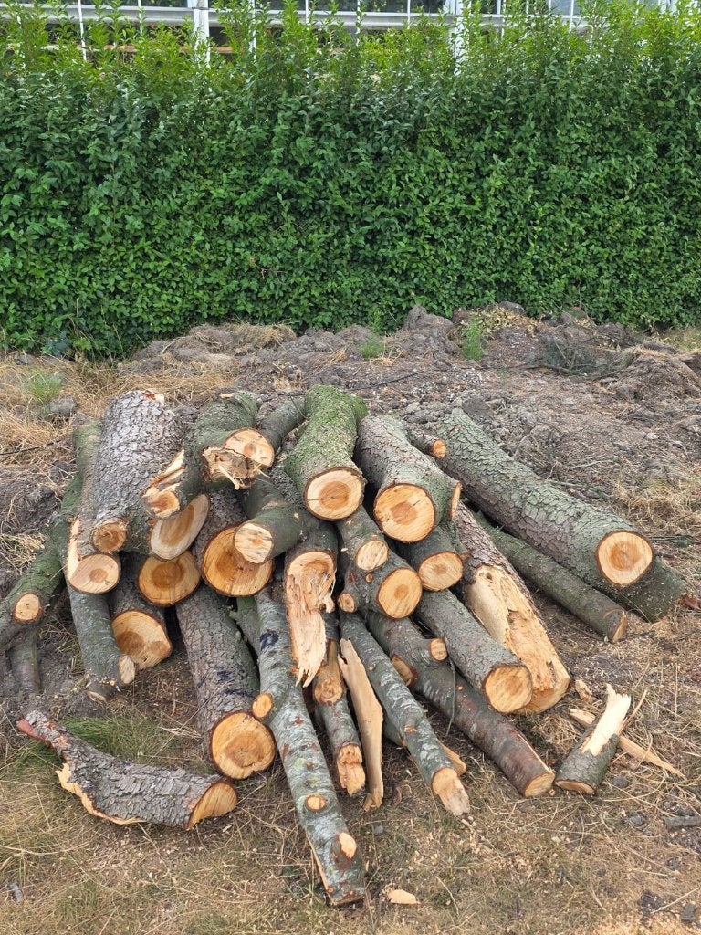 Haardhout, Tuin en Terras, Haardhout, Minder dan 3 m³, Ophalen, Overige houtsoorten, Stammen