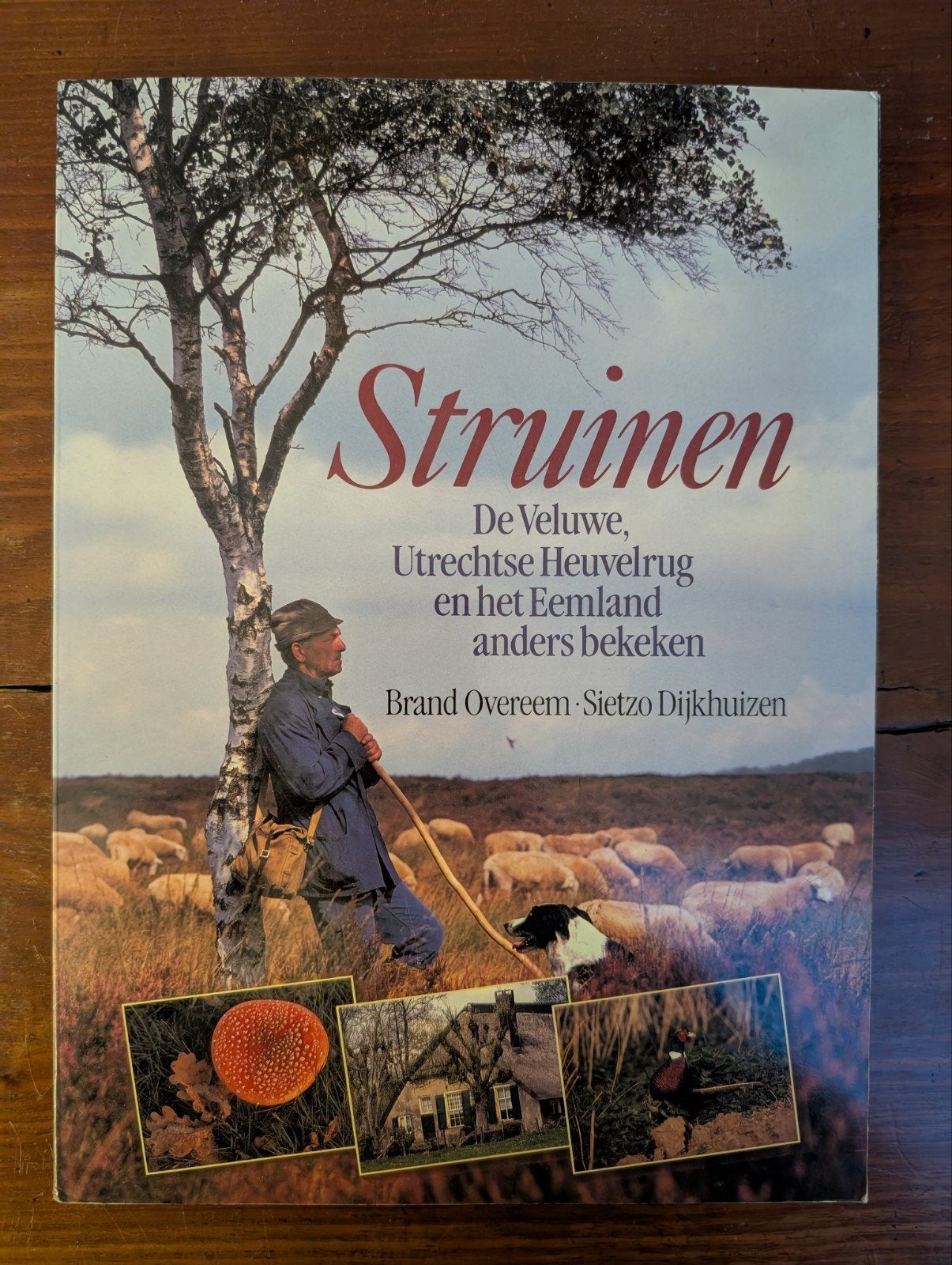 Struinen: De Veluwe, Utrechtse Heuvelrug en het Eemland, Ophalen of Verzenden, Gelezen, Wandel- of Recreatiegebieden, Brand Overeem, Sietzo Dijkhuizen