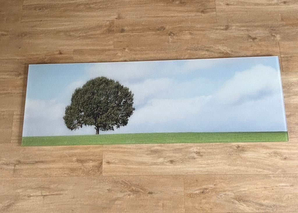 Foto op plexi bedrukt, Ophalen, Zo goed als nieuw, Print, 75 cm of meer