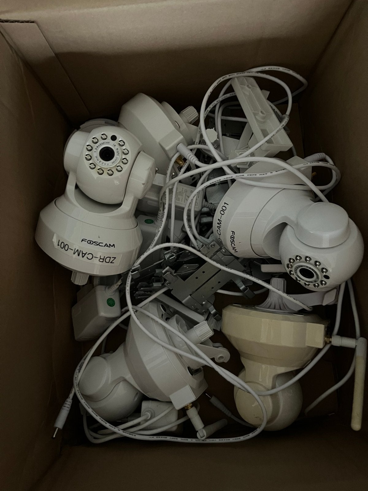 Aantal Foscam IP-camera's, Ophalen of Verzenden, Gebruikt, Binnencamera