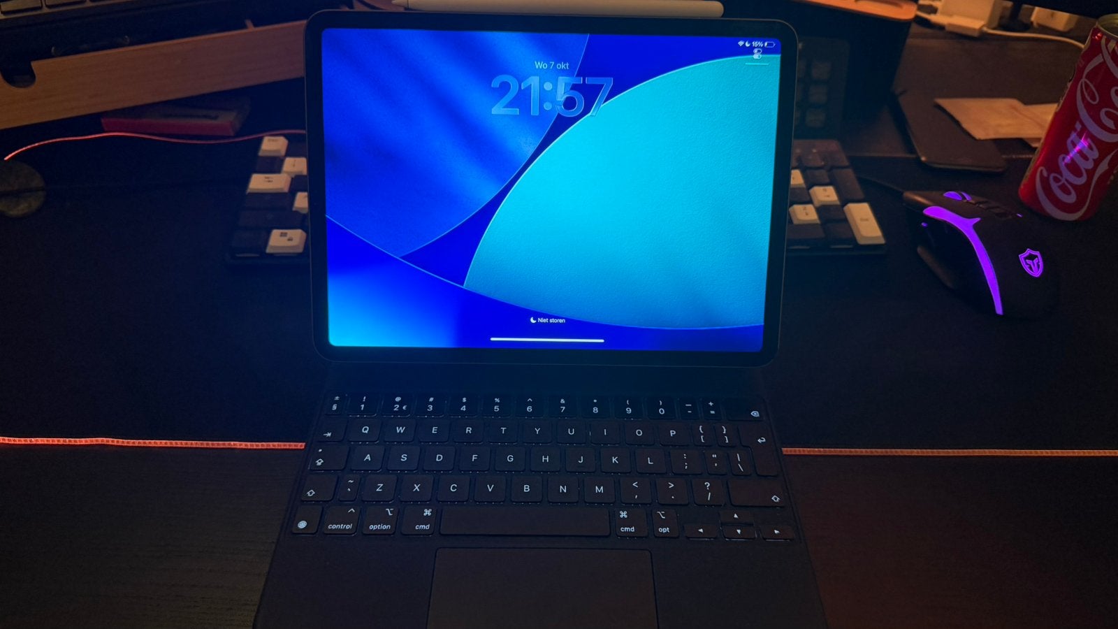 iPad Pro (11 inch) + Apple Pencil Dozen aan wazig!!!