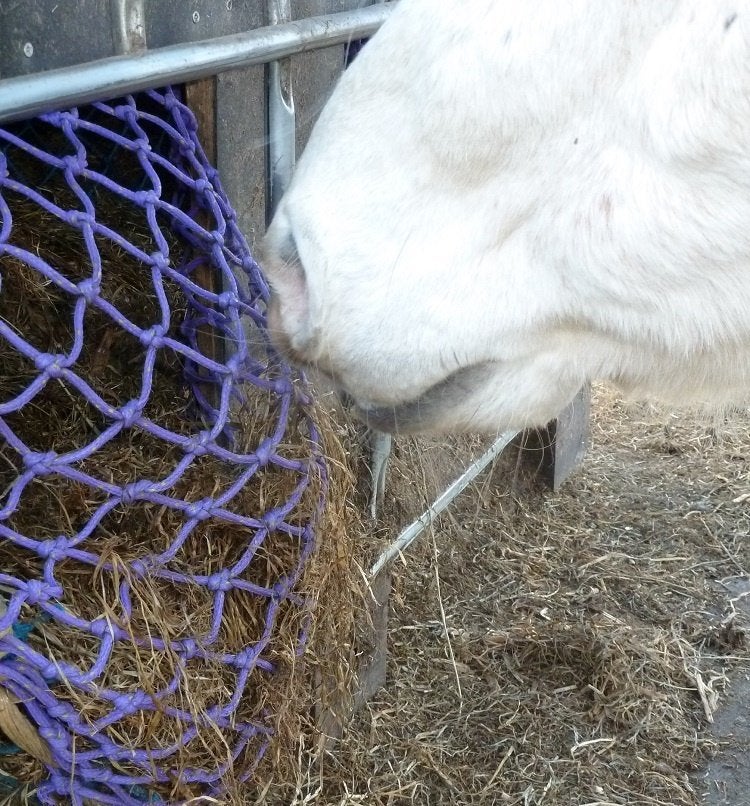 Visnet voor slowfeeder, Info@alletouw.nl, Nieuw, Ophalen of Verzenden, Trekwei 13