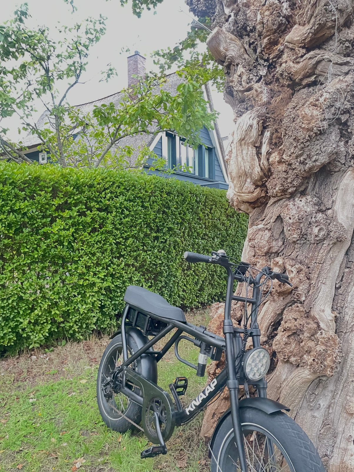 Knaap AMS Fatbike, Gebruikt, 59 cm of meer, 50 km per accu of meer, Ophalen