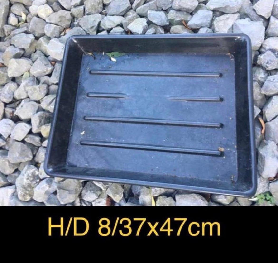 Kweekbak lage bak 37x47cm bio zaden stekjes tuinplanten, Ophalen, Zo goed als nieuw, Kweekbak