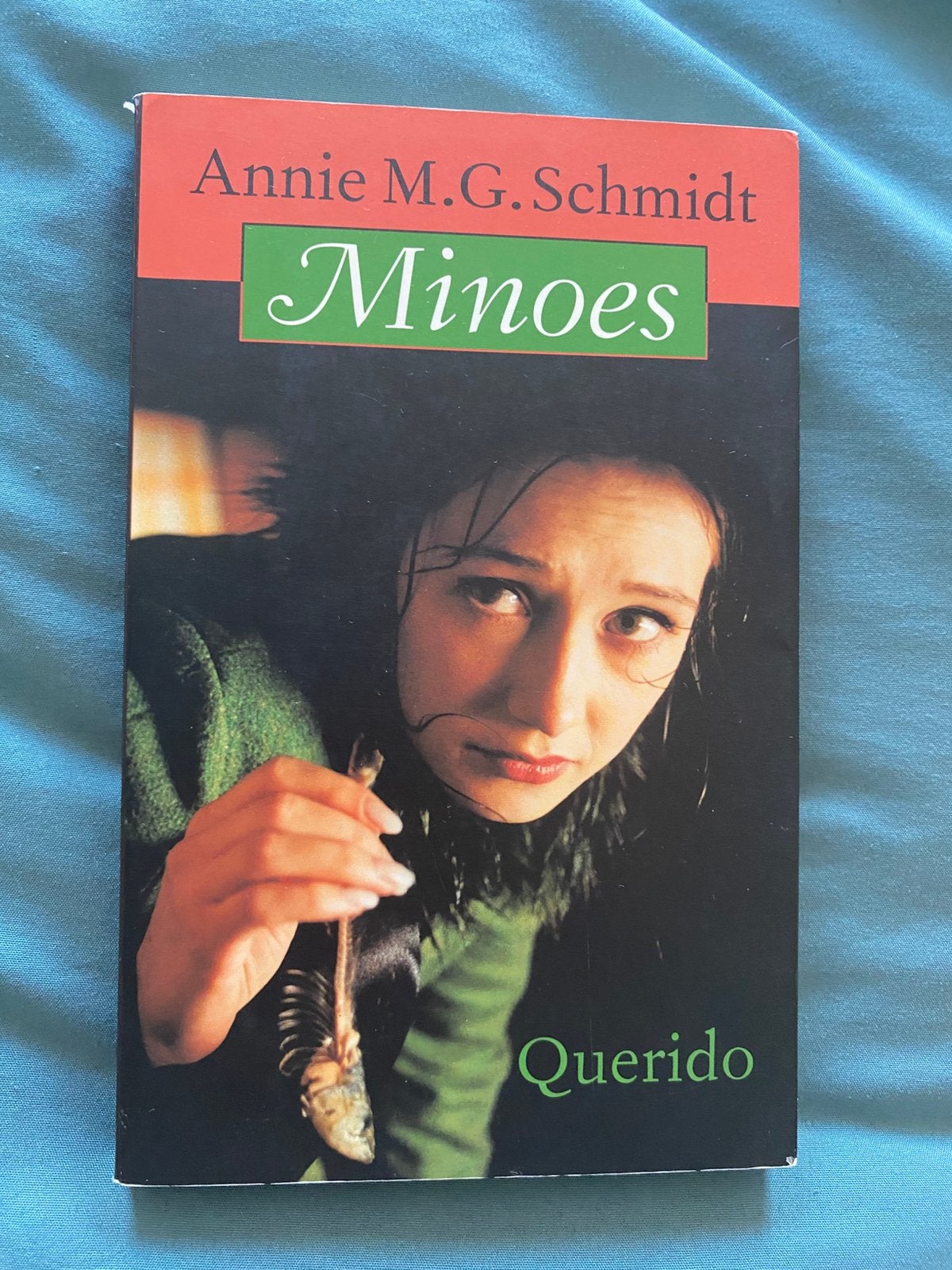 Annie M.G. Schmidt Minoes, Boeken, Ophalen of Verzenden, Zo goed als nieuw, Annie M.G. Schmidt