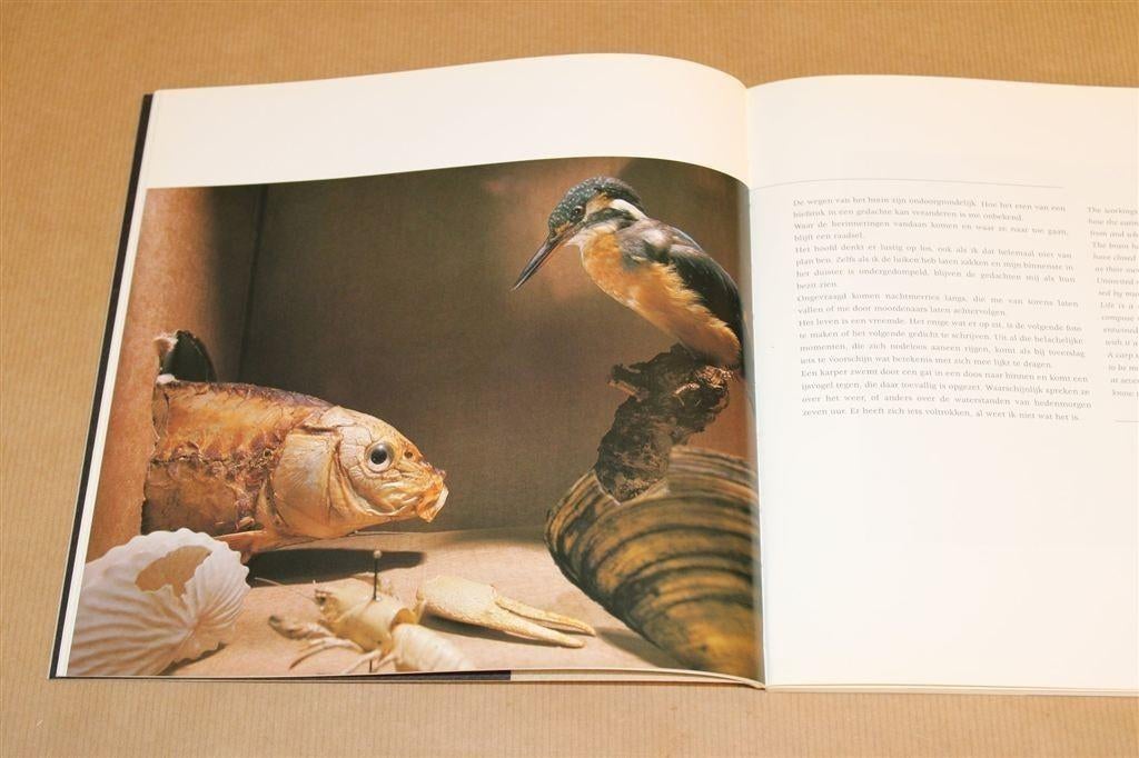 Rommert Boonstra: Natura ex Machina — Catalogus Natuurmuseum, Boeken, Ophalen of Verzenden, Gelezen, Fotografen