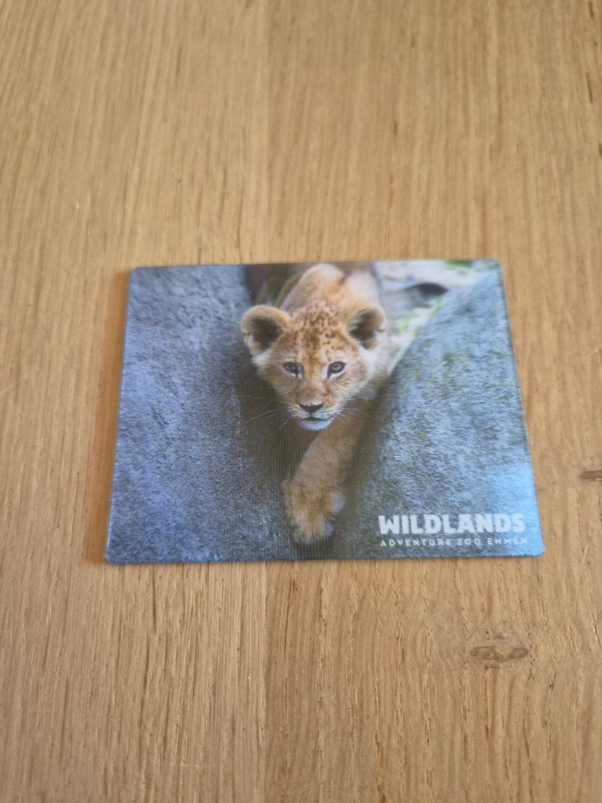 3D magneet Wildlands Zoo Emmen., Ophalen of Verzenden
