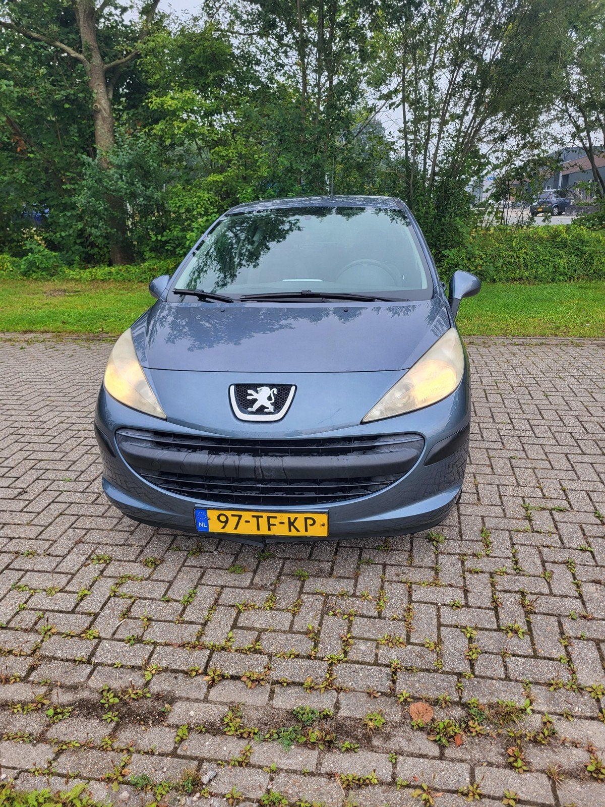 Peugeot 207 1.4 16V 3DRS 2006 Grijs, Voorwielaandrijving, Zwart, 4 cilinders, 49 €/maand