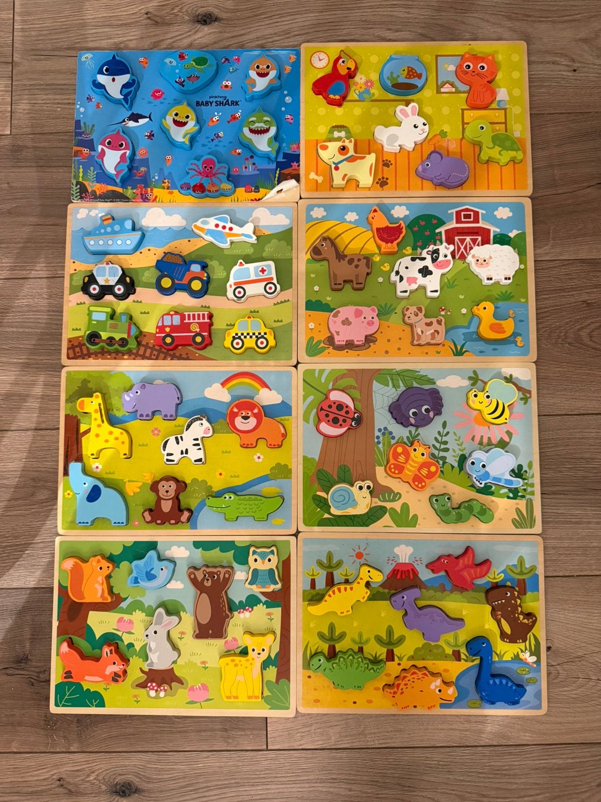 Houten Puzzels, Ophalen, Gebruikt, Van hout, Minder dan 10 stukjes