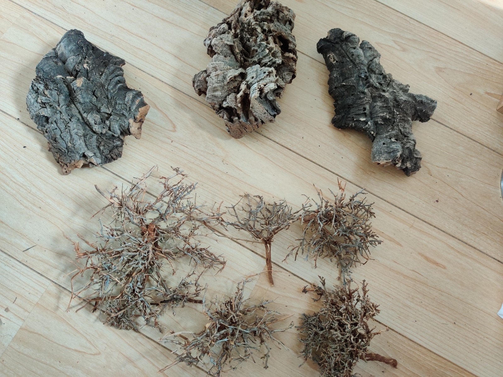 Kurk en decoratieve takjes, Ophalen