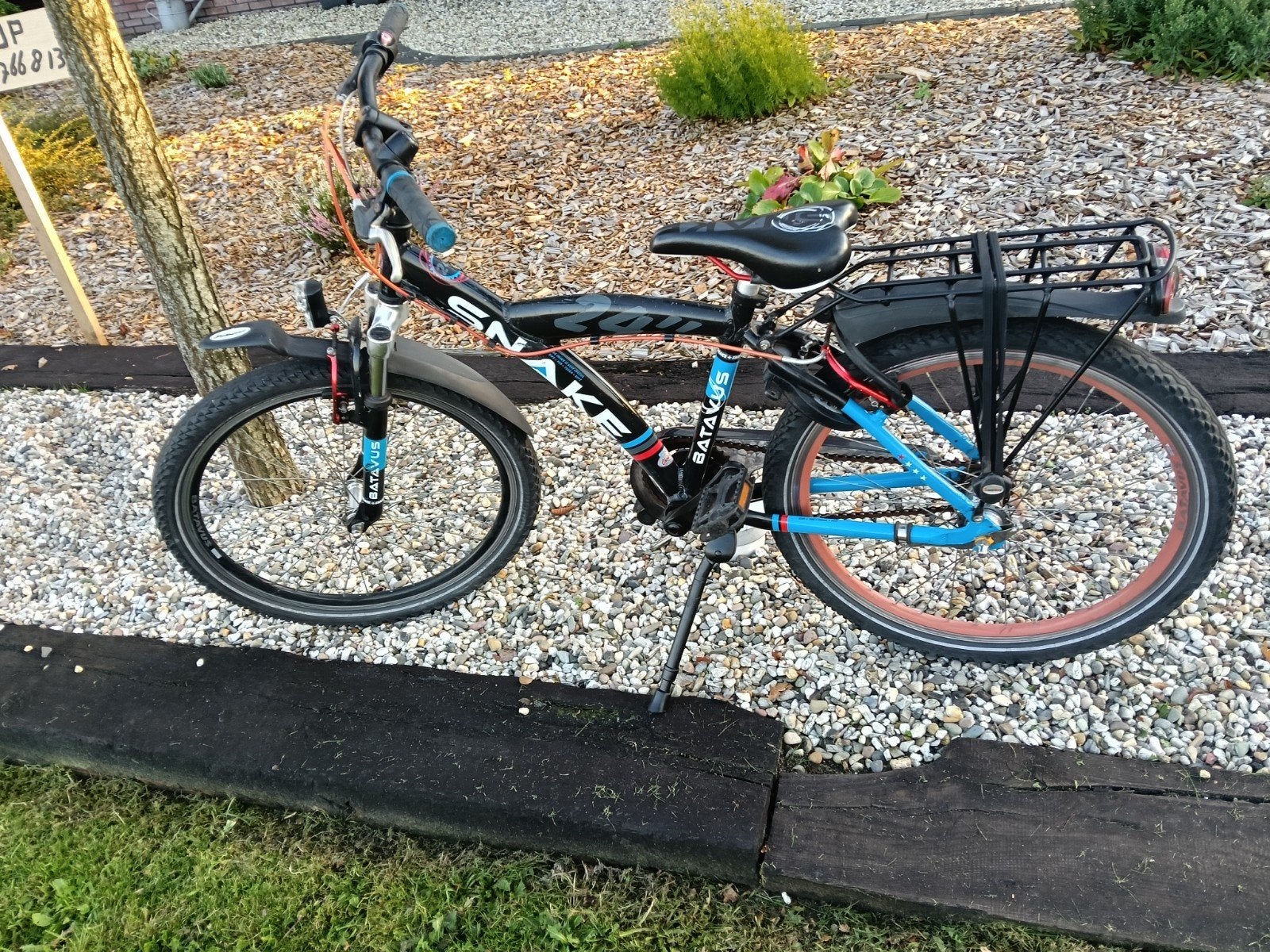 Foto 4 van Batavus Snake 24 inch