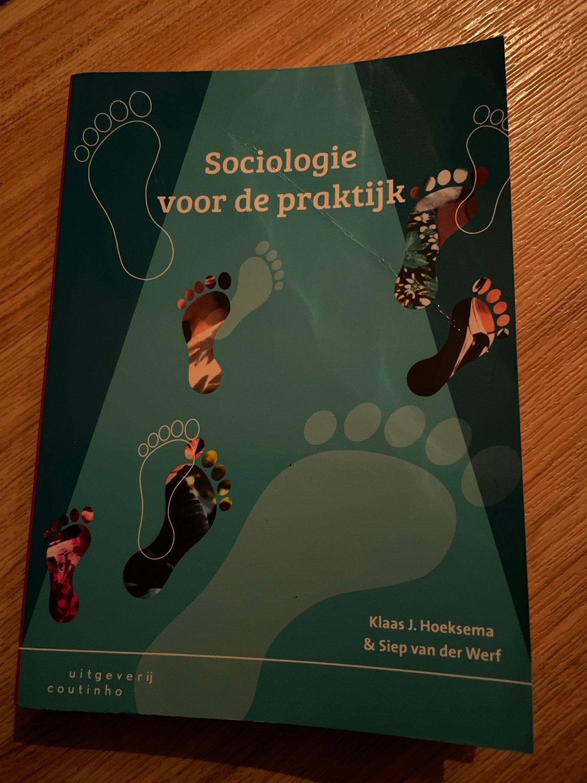 Sociologie voor de praktijk - Klaas J. Hoeksema & Siep van d, Boeken, Ophalen of Verzenden, Gamma, Zo goed als nieuw, HBO