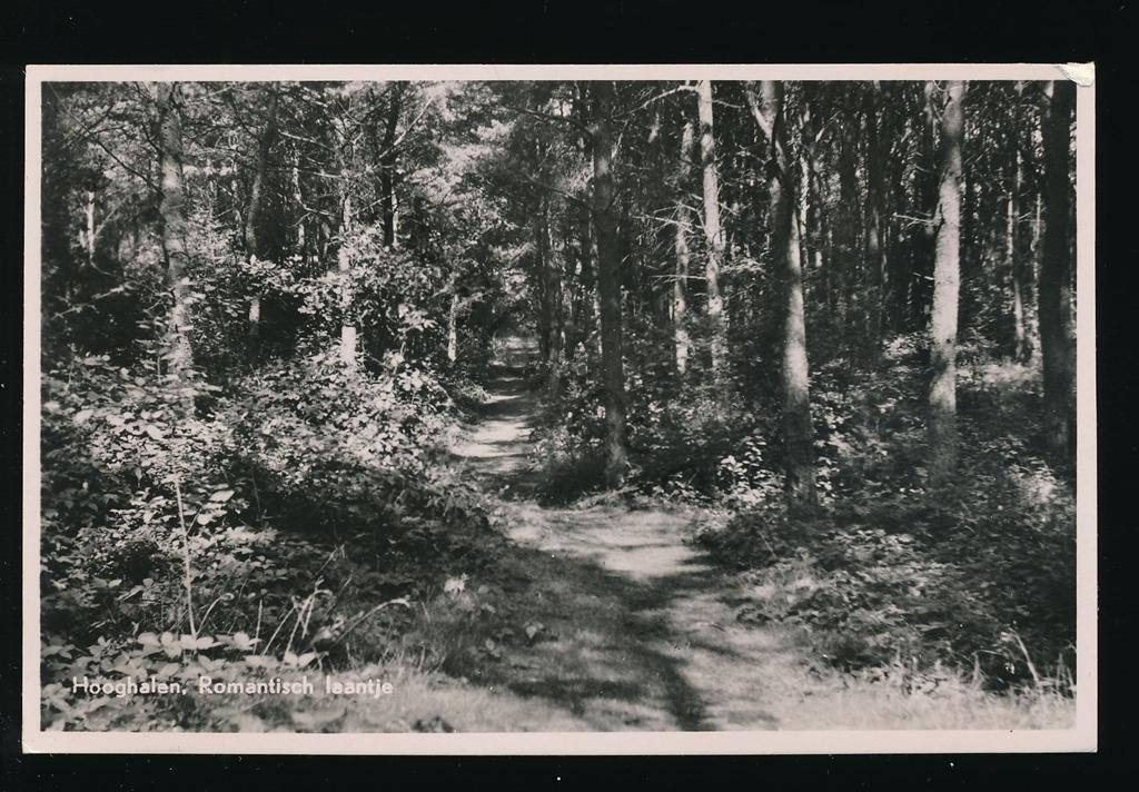 Hooghalen - Romantisch Laantje [003-5336, Verzenden, 1940 tot 1960, Ongelopen, Drenthe