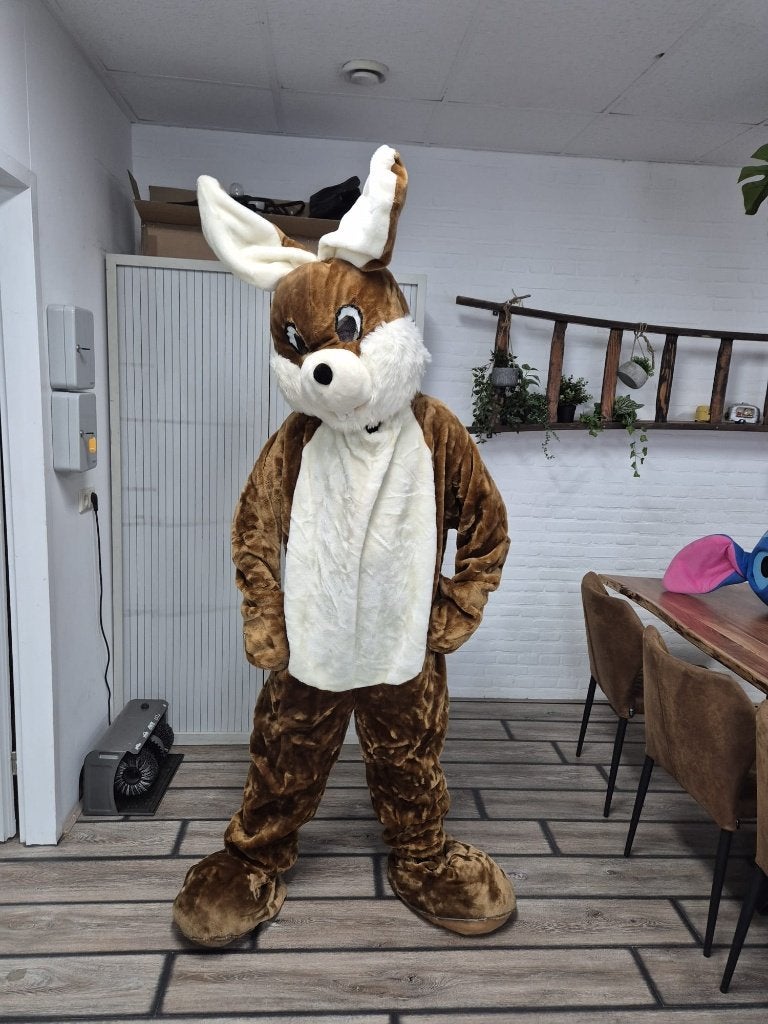 Paashaas (mascotte) pak goede kwaliteit vrijgezellenfeest, Kleding | Heren, Maat 56/58 (XL), Ophalen of Verzenden, Kleding, Gedragen
