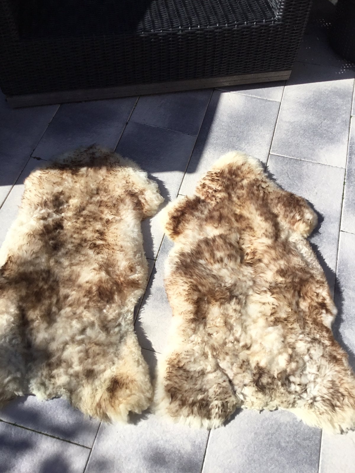 Te koop: 2 prachtige moeflon schapenvachten, Ophalen of Verzenden