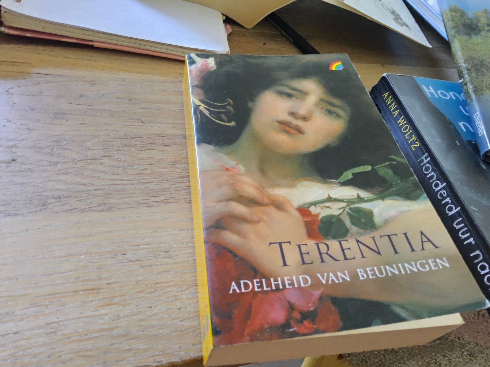 Terentia - Adelheid van Beuningen (Historische Roman), Ophalen of Verzenden, Zo goed als nieuw, Adelheid van Beuningen, Nederland