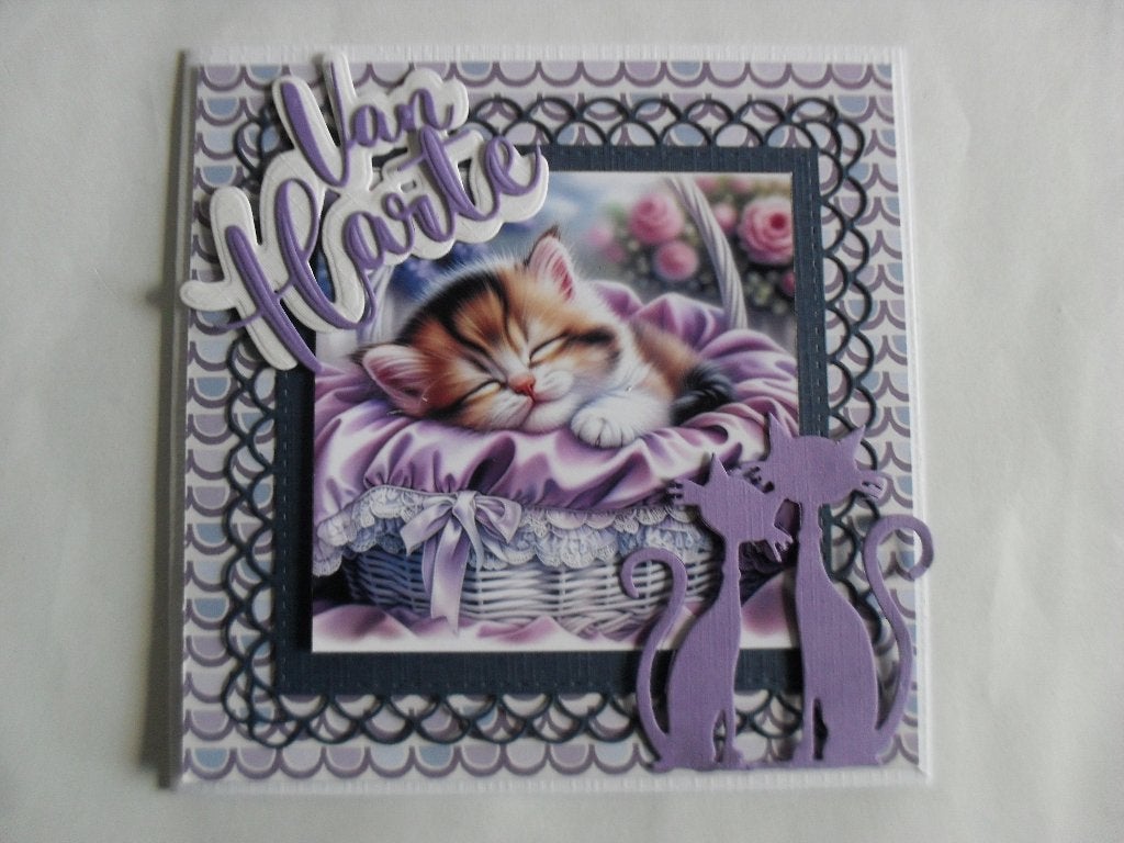 linnekaart set 363, Ophalen of Verzenden, Nieuw, Overige thema's, Pons of Mal