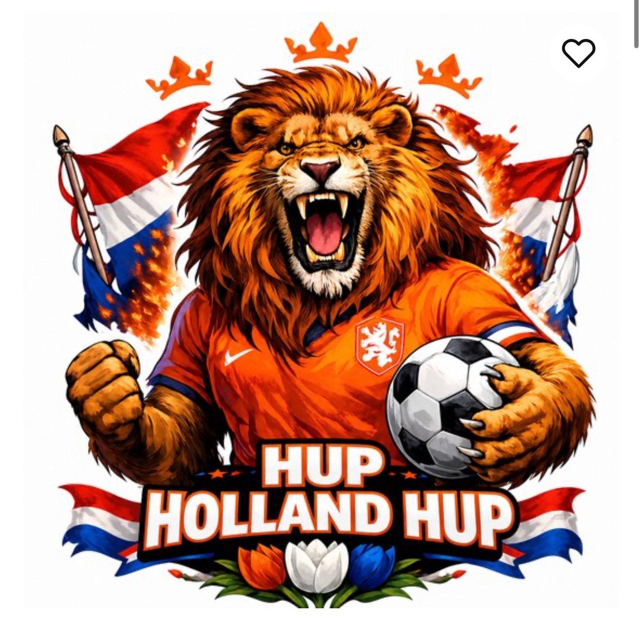 Gezocht uitzwaaitraining nederlands elftal, Twee personen, Ticket of Toegangskaart