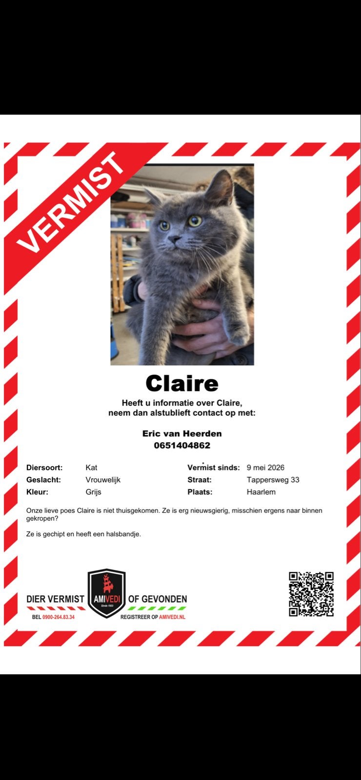 Poes vermist, Dieren en Toebehoren, Vermiste en Gevonden Dieren