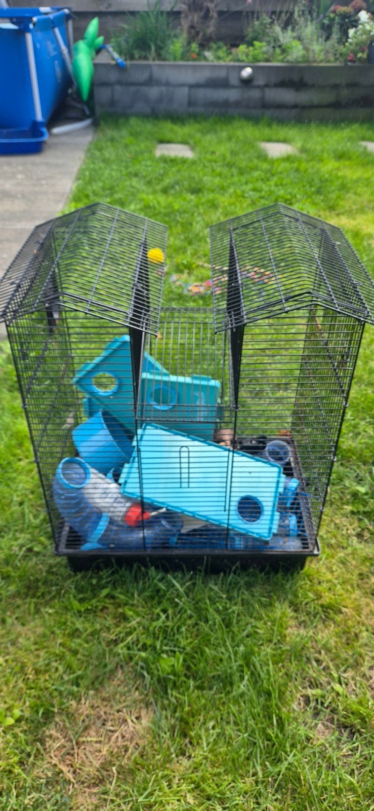Gratis hamsterkooi, Dieren en Toebehoren, Kooi, Gebruikt, Minder dan 75 cm, Hamster