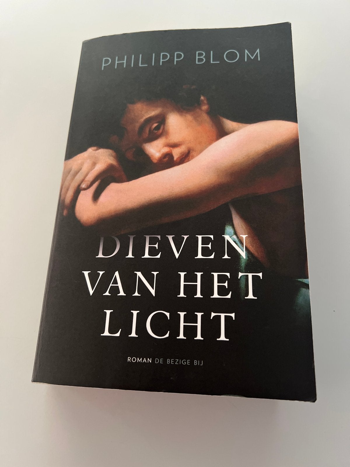 Dieven van het Licht - Philipp Blom (Roman), Boeken, Romans, Zo goed als nieuw, Nederland, Ophalen of Verzenden