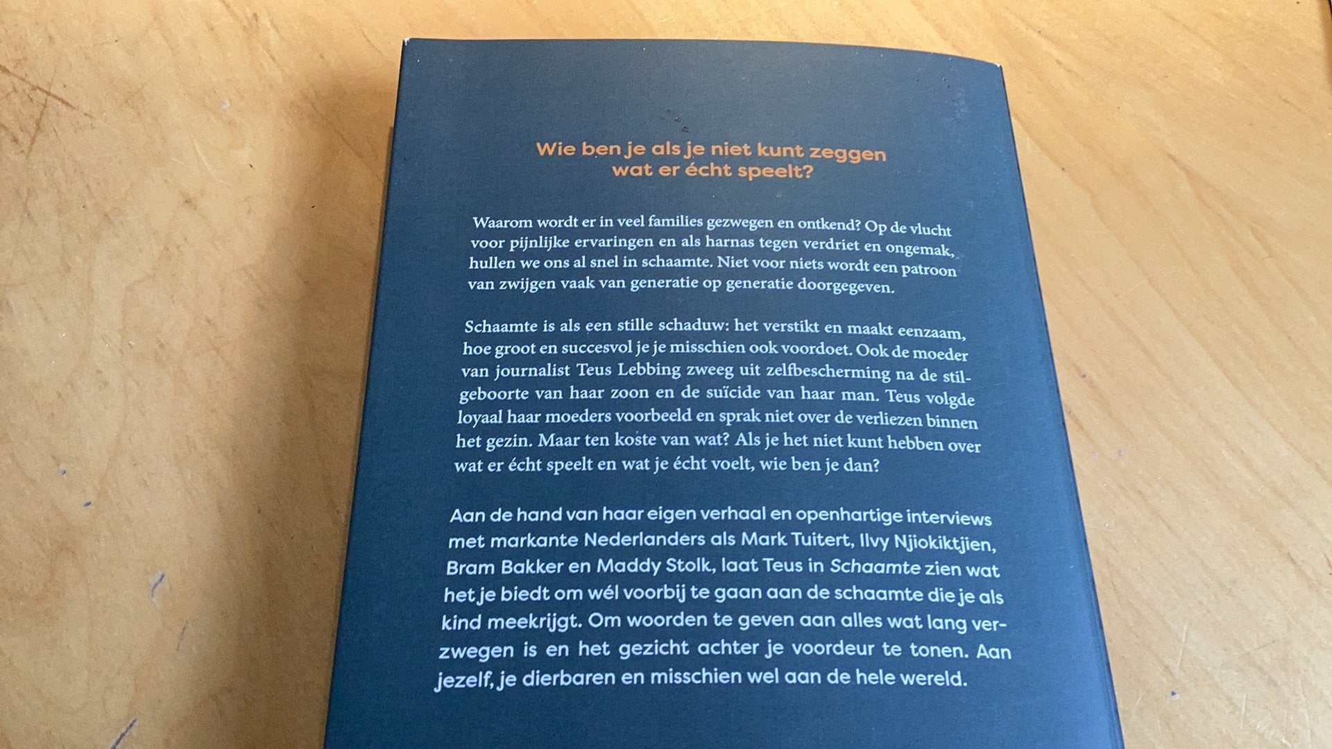 Teus Lebbing - Schaamte, Boeken, Teus Lebbing, Verzenden, Ontwikkelingspsychologie, Zo goed als nieuw