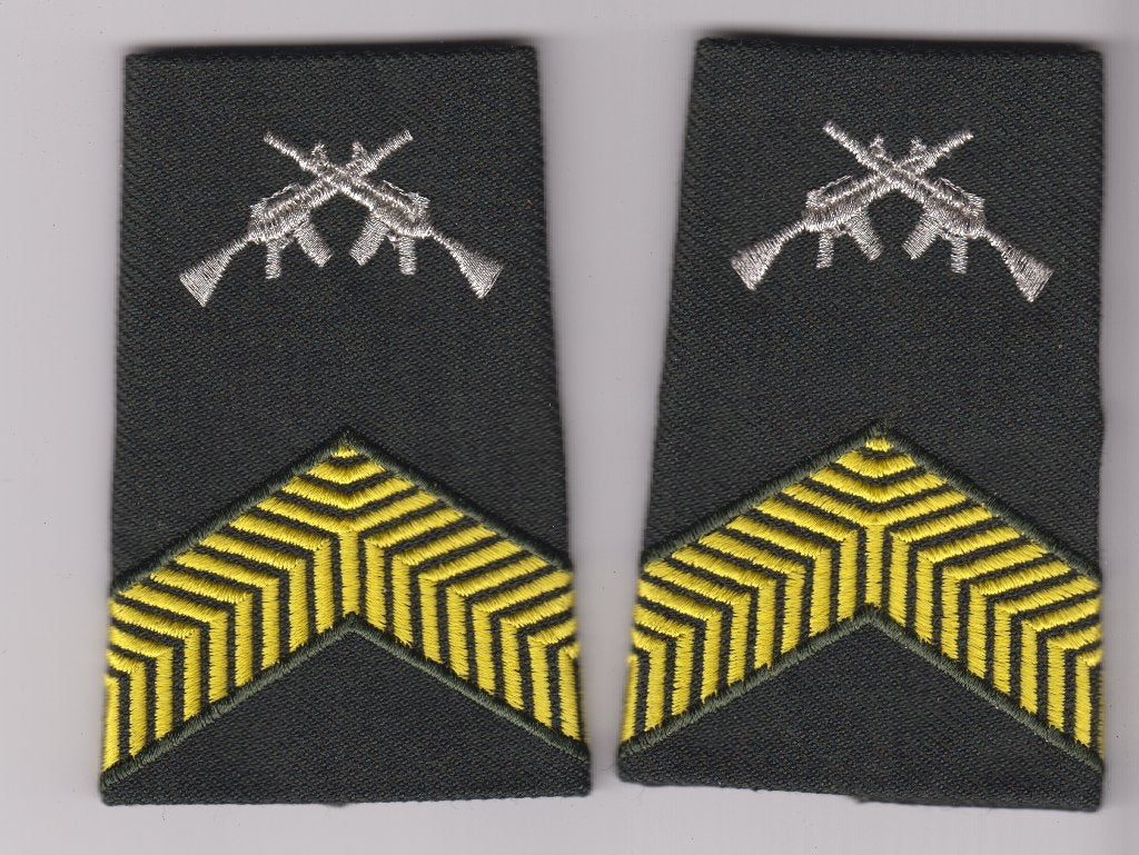 set rangen kpl olk voor dt 1, Ophalen of Verzenden, Landmacht, Nederland, Embleem of Badge