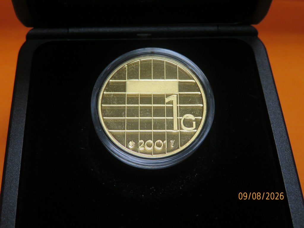 No.200- Beatrix GOUD GULDEN 2001 Proof munt in doosje, 1 gulden, Koningin Beatrix, Losse munt, Goud
