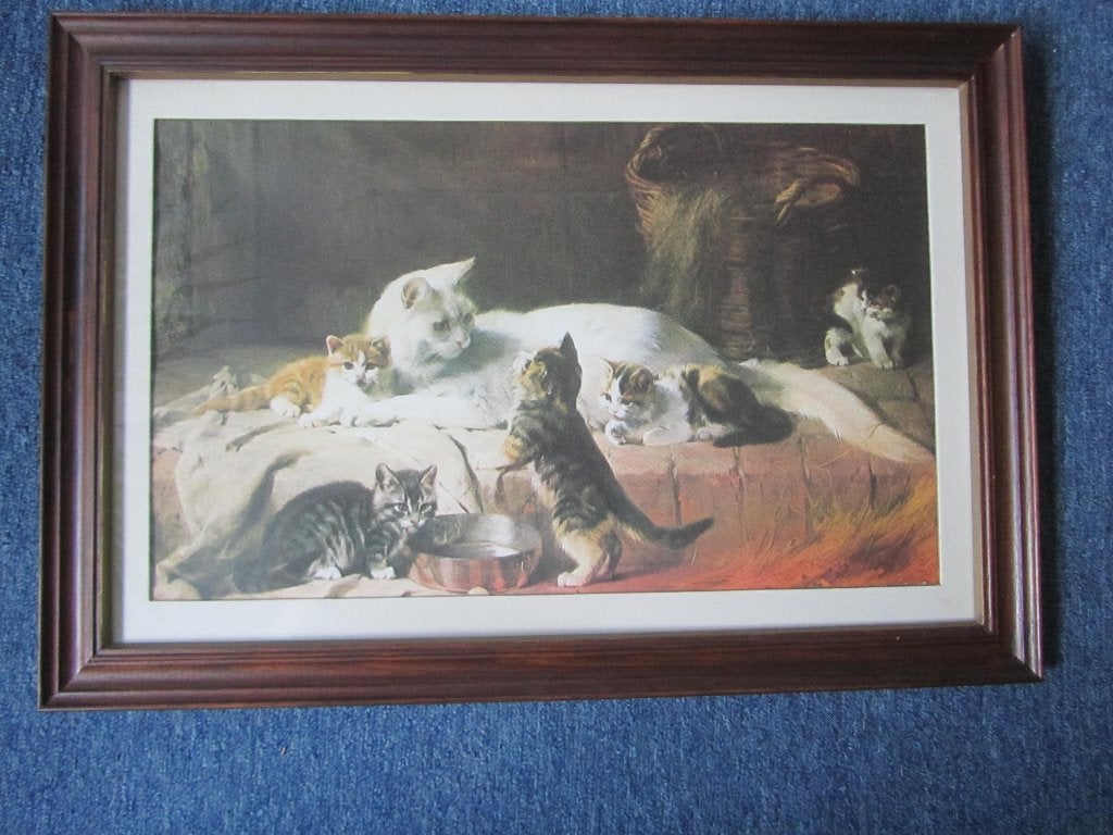 Lijst, hout met glas, 40x60cm. tafereel met Katten, Ophalen, Bruin, Ingelijst werk, Zo goed als nieuw