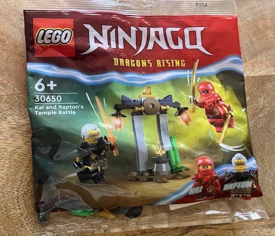 Lego Ninjago Polybag Dragon Rise  30650, Lego, Ophalen of Verzenden, Nieuw, Compleet