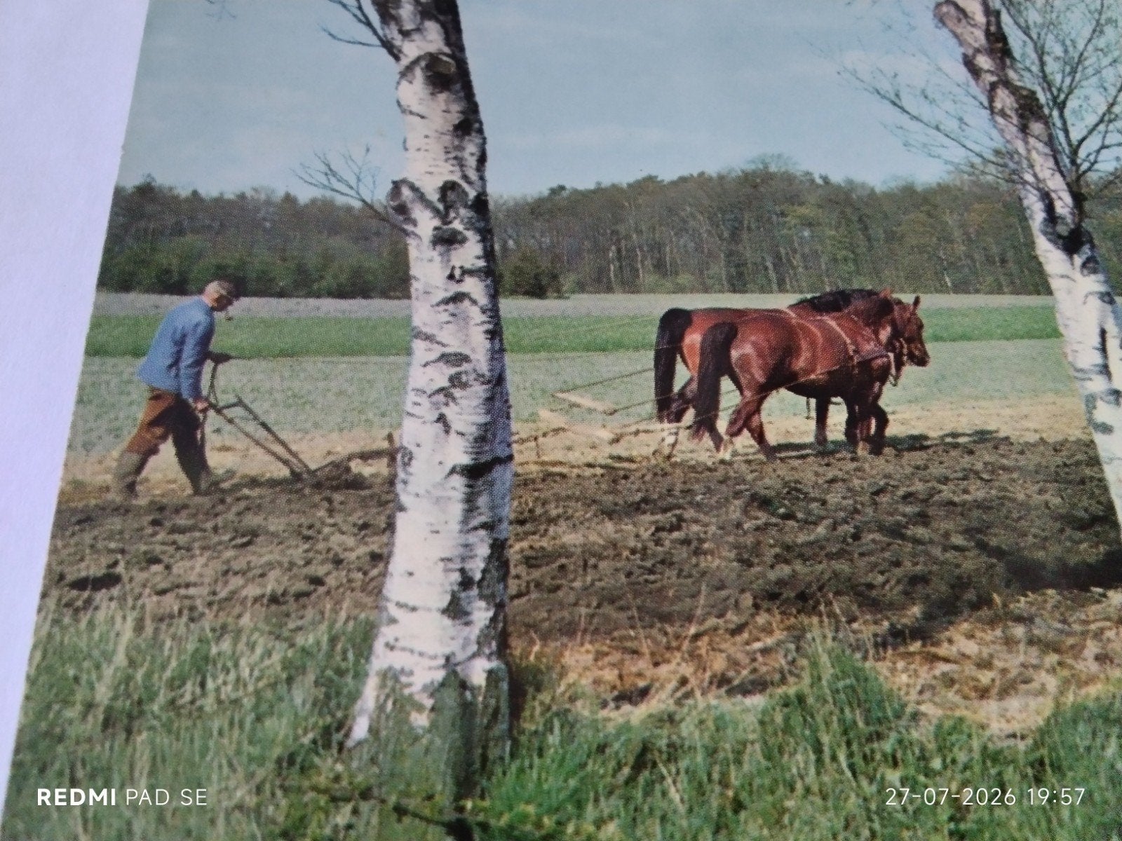 Ansichtkaart: BORGER Handmatig Ploegen met Paarden, Ophalen of Verzenden, 1960 tot 1980, Gelopen, Ambachten of Beroep