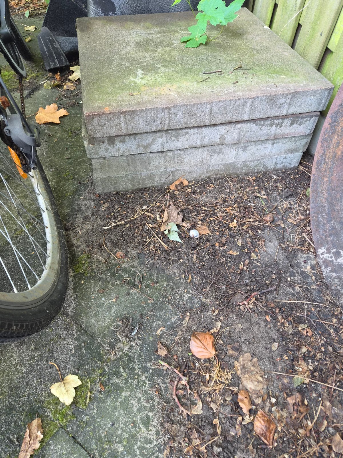 Gratis Betonnen tuintegels 60x60 cm, Ophalen, Gebruikt, Beton, Terrastegels