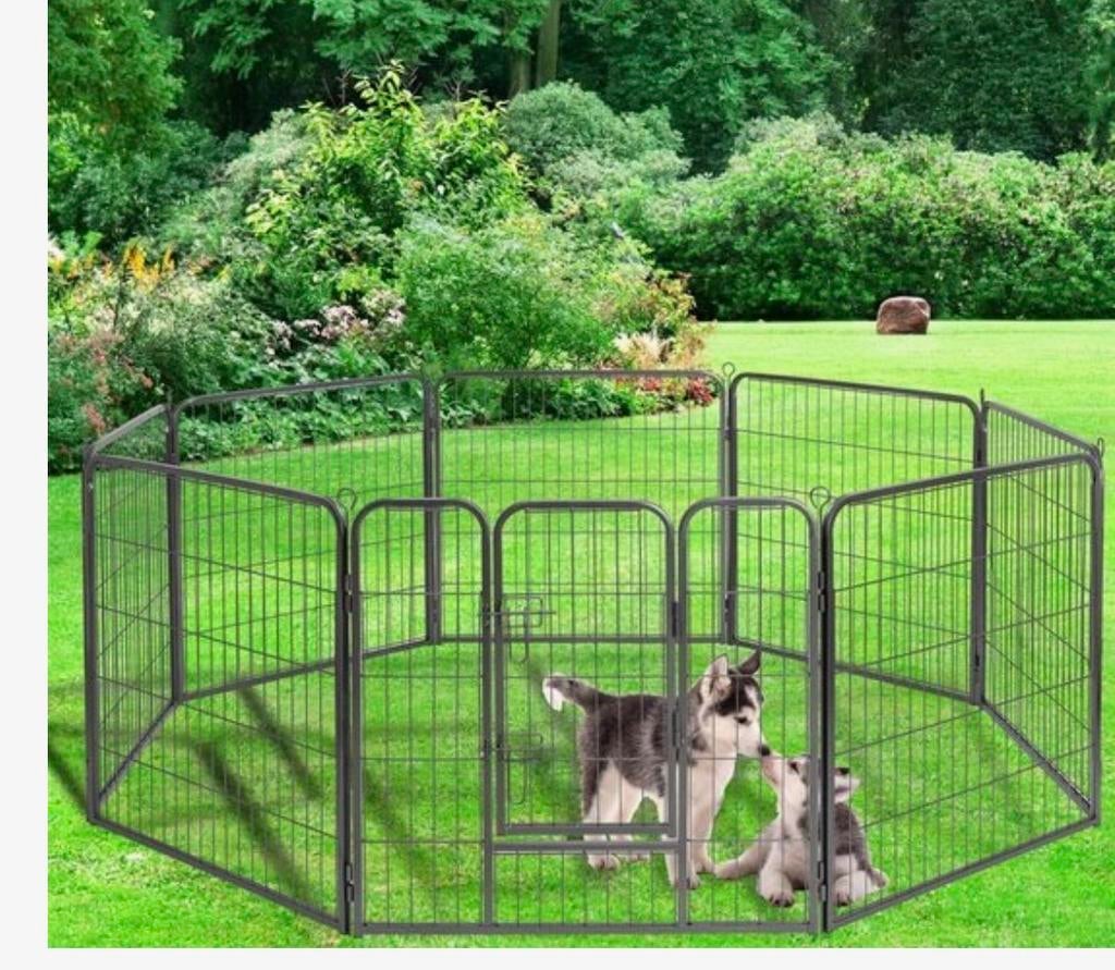 Honden ren nieuw in doos, Dieren en Toebehoren, Ophalen, Nieuw, ?, ?