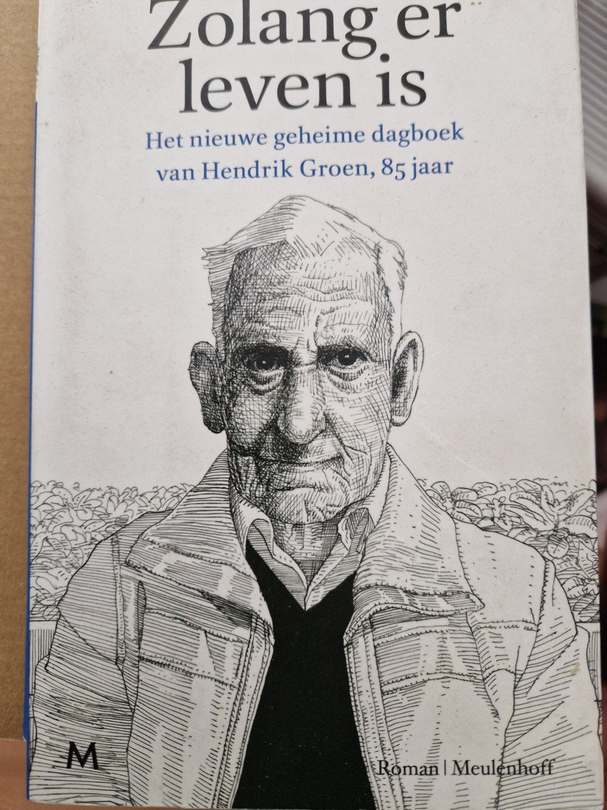 Hendrik Groen - Zolang er leven is, Ophalen of Verzenden, Zo goed als nieuw, Hendrik Groen