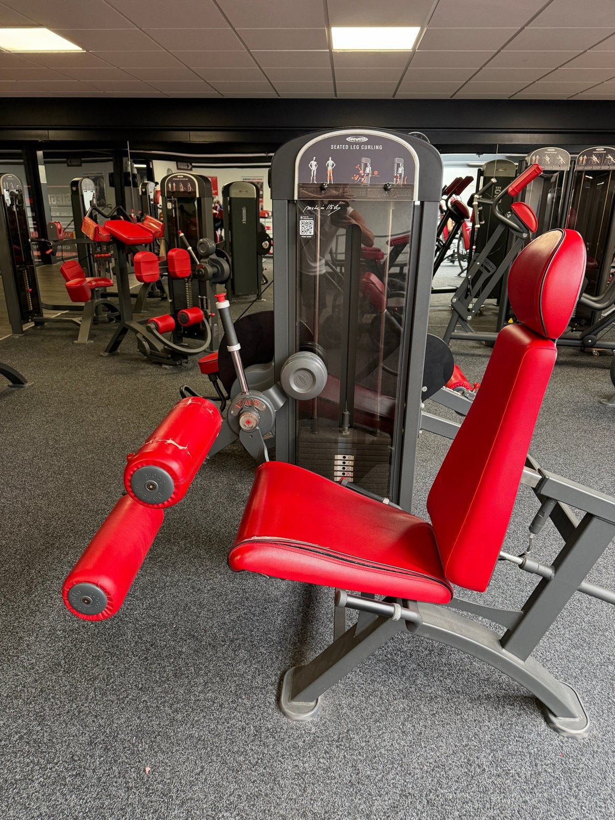 Panatta Seated Leg Curling fitnessapparaat, Gebruikt, Krachtstation, Ophalen of Verzenden, Metaal