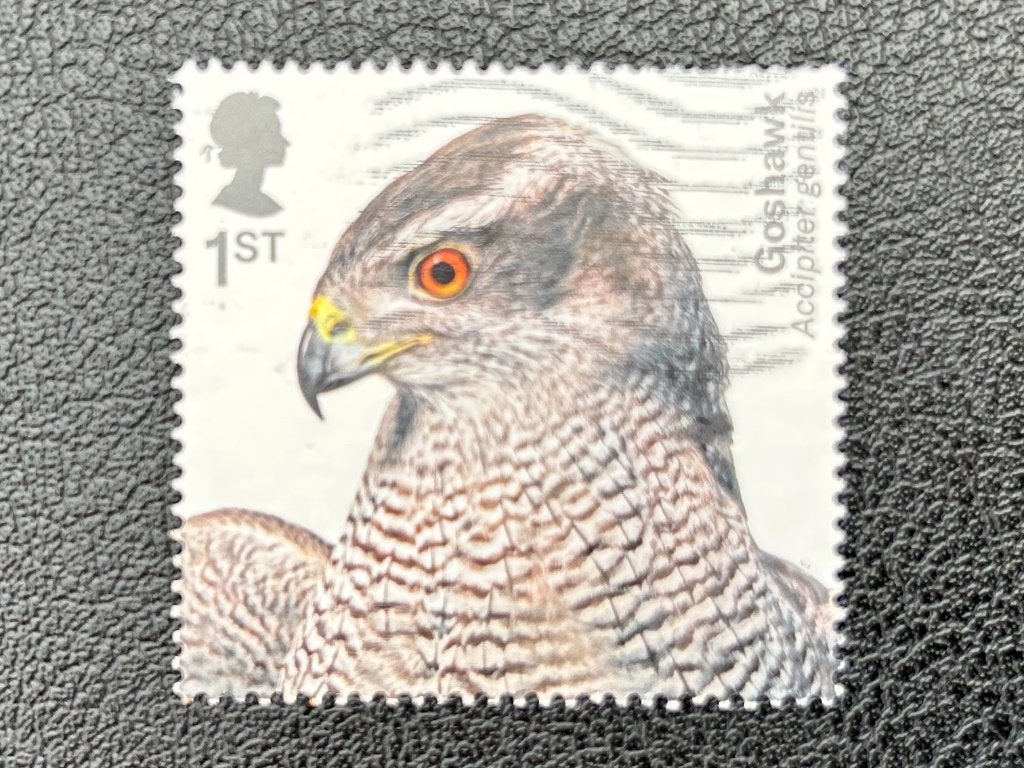 Havik - UK - 2019, Verzenden, Gestempeld, Dier of Natuur